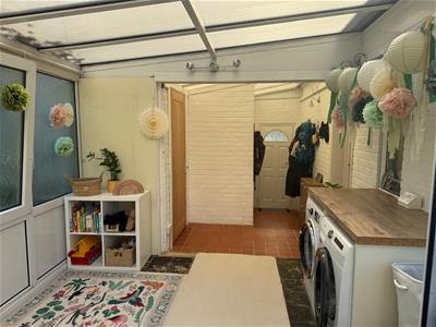 Picture 7